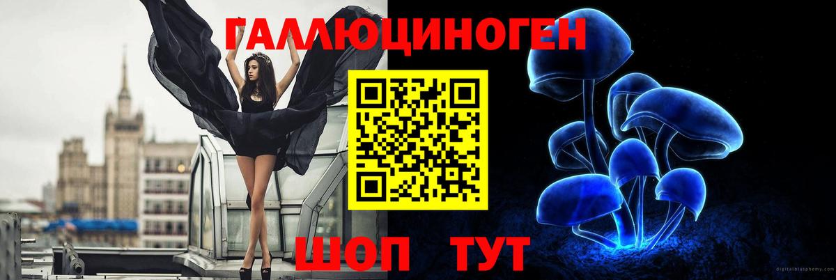 Таганрог  Галлюциногенные грибы Psilocybine cubensis  Галлюциногенные грибы Psilocybine cubensis  Вход с VPN 
